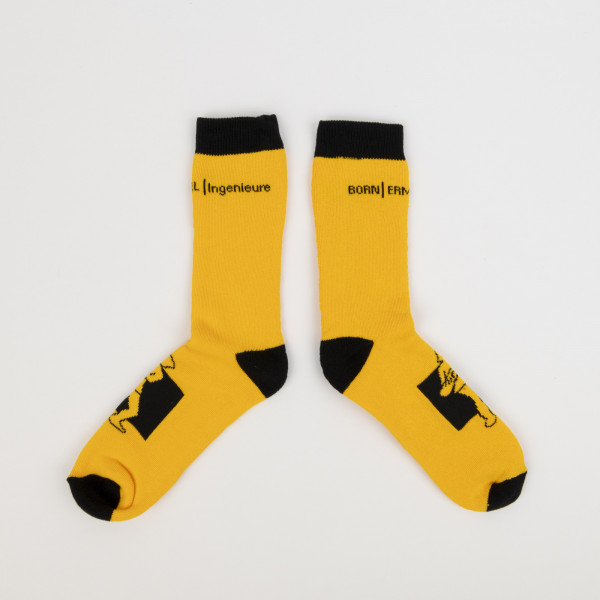 Born Ermel Ingenieure