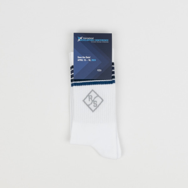 R+S International Developers Conference